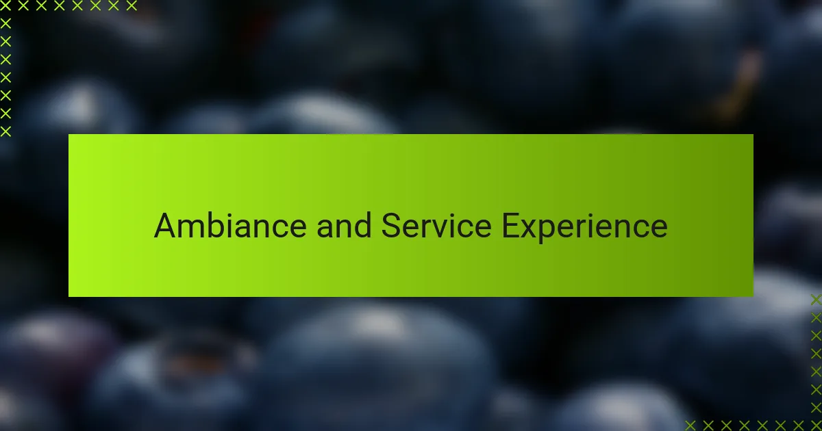 Ambiance and Service Experience