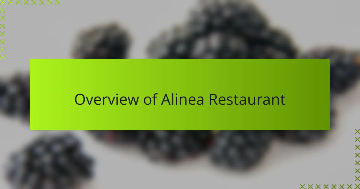 Overview of Alinea Restaurant