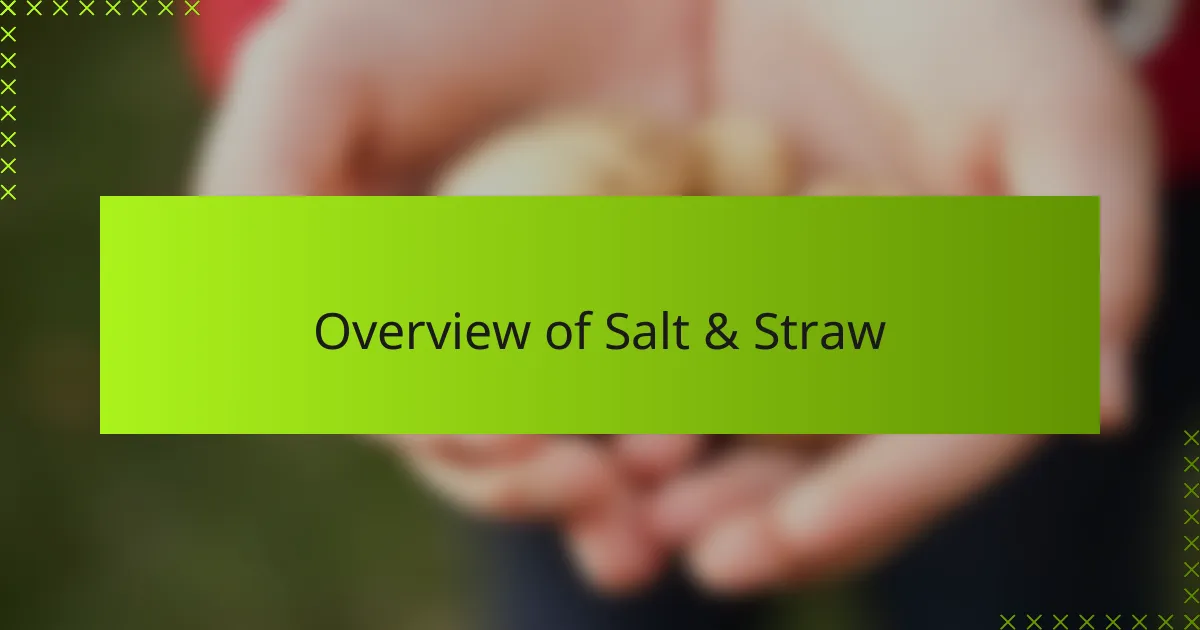Overview of Salt & Straw